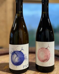 Bottiglie di vino targate Les Aricoques. Pan Rouge e Pan Blanc 2022.