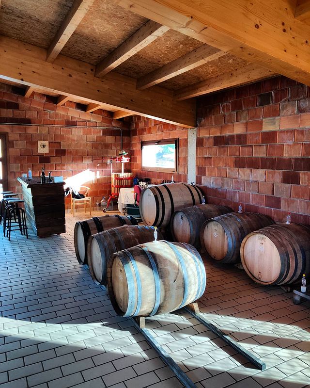 Damigiane di vino della Famiglia Nin Ortiz.