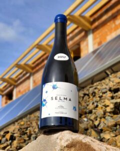 Bottiglia di Selma de Nin 2017. Produttore Nin Ortiz.
