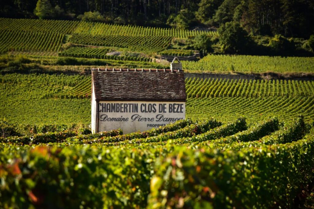 Chambertin-Clos de Bèze Chambertin-Clos de Bèze