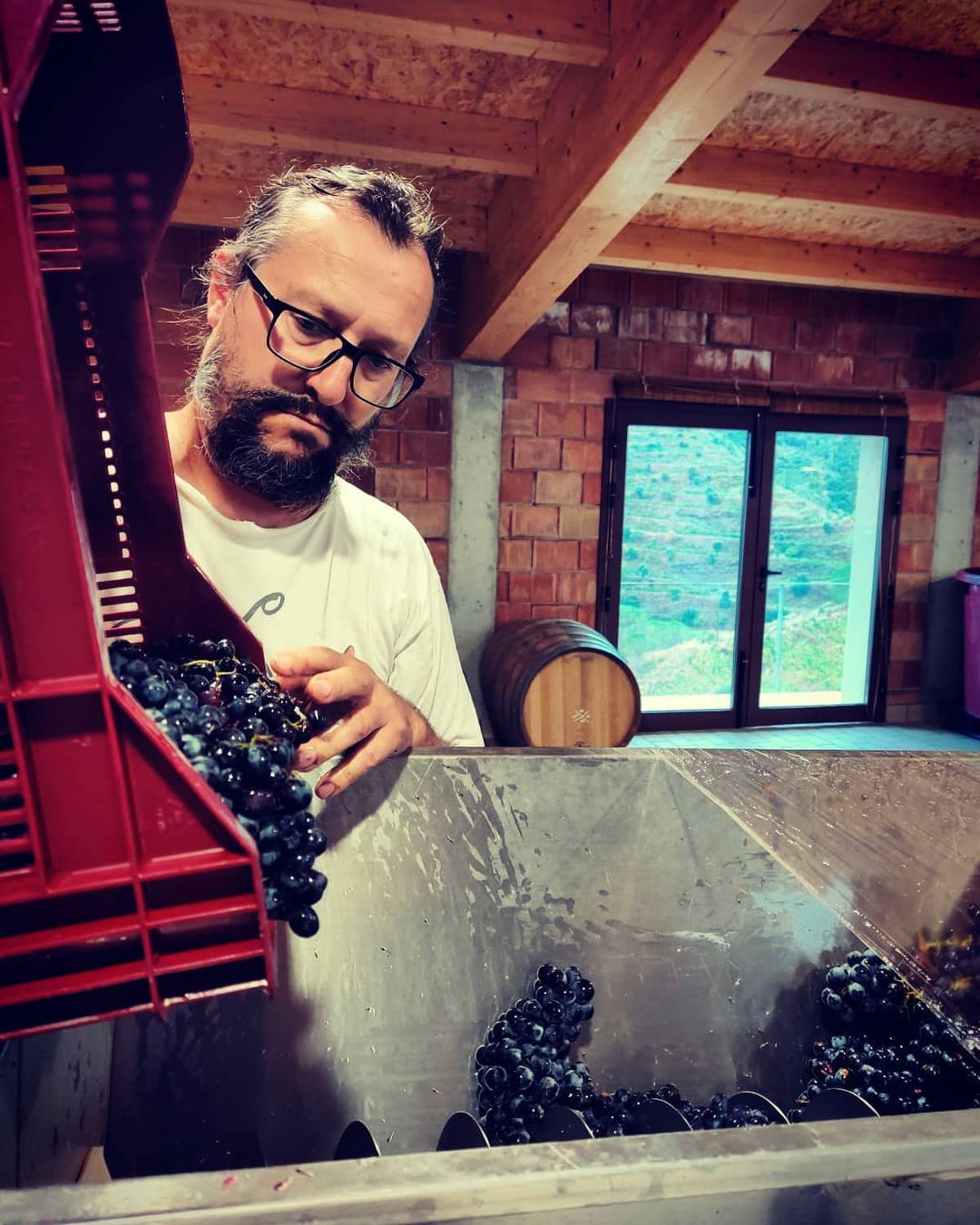 Nin Ortiz durante la vendemmia.