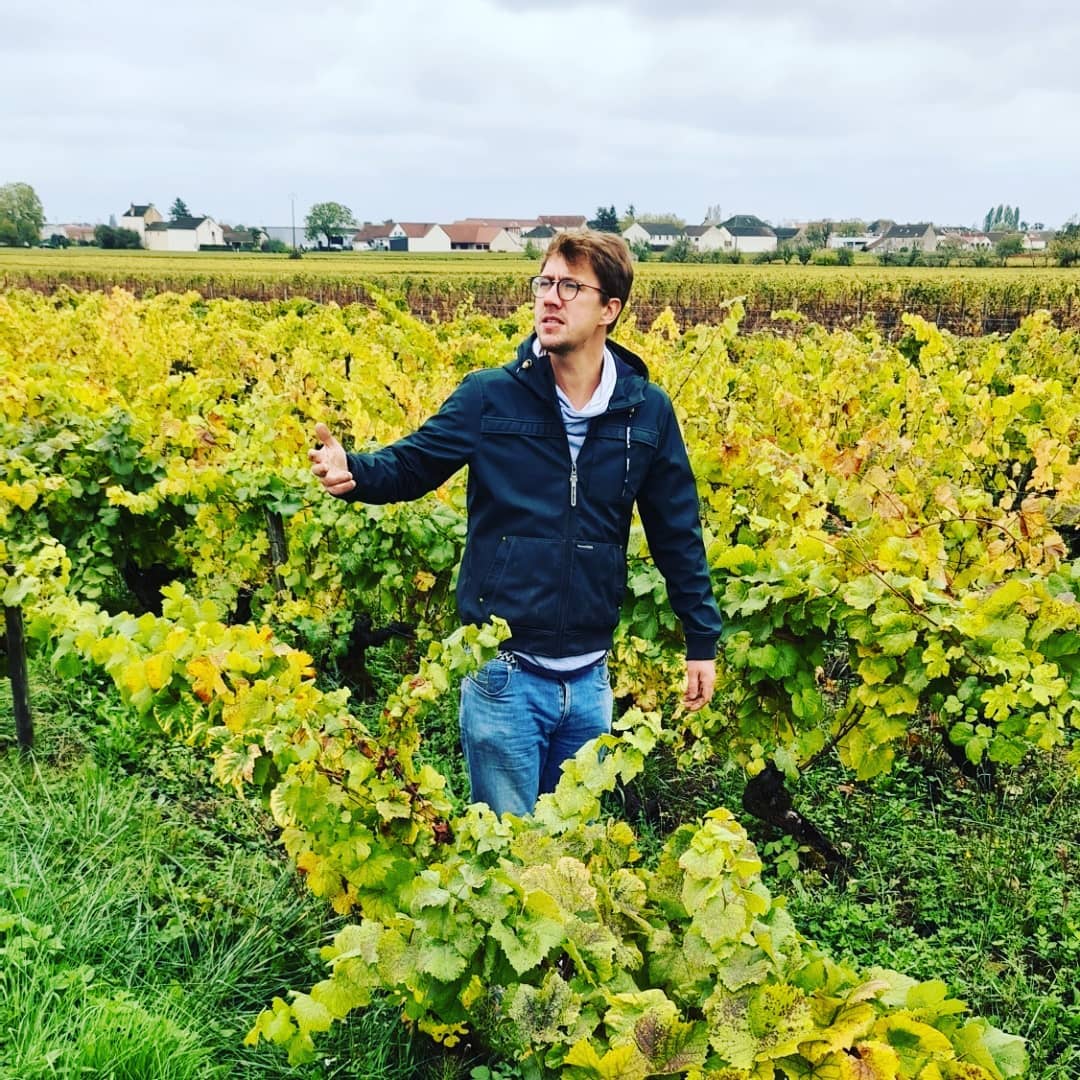 Tino Kuban nel suo vigneto.