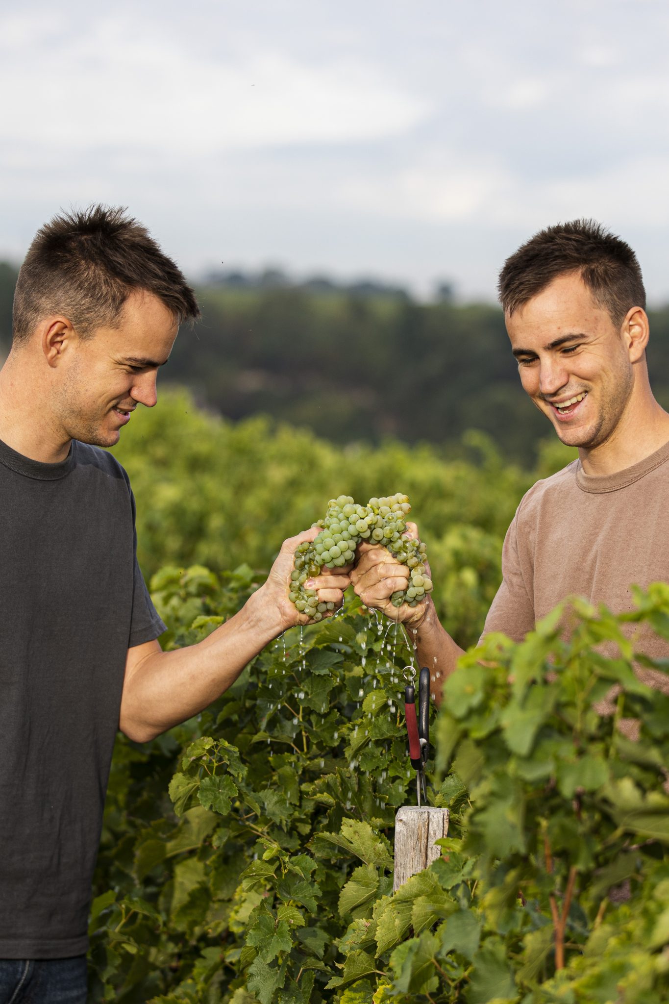 Clos Thierriere nel loro vigneto.