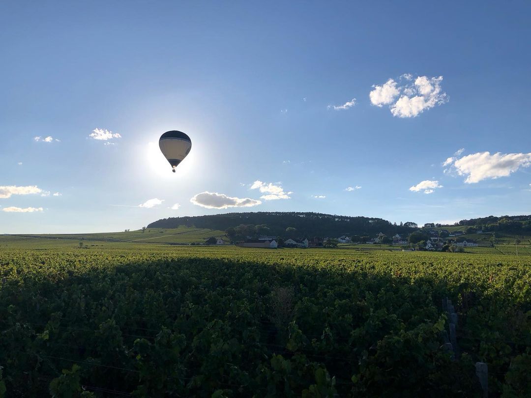 Volnay vineyards in Burgundy, France.