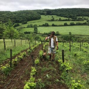 Bastian Wolber in his vineyard in Volnay, Burgundy.