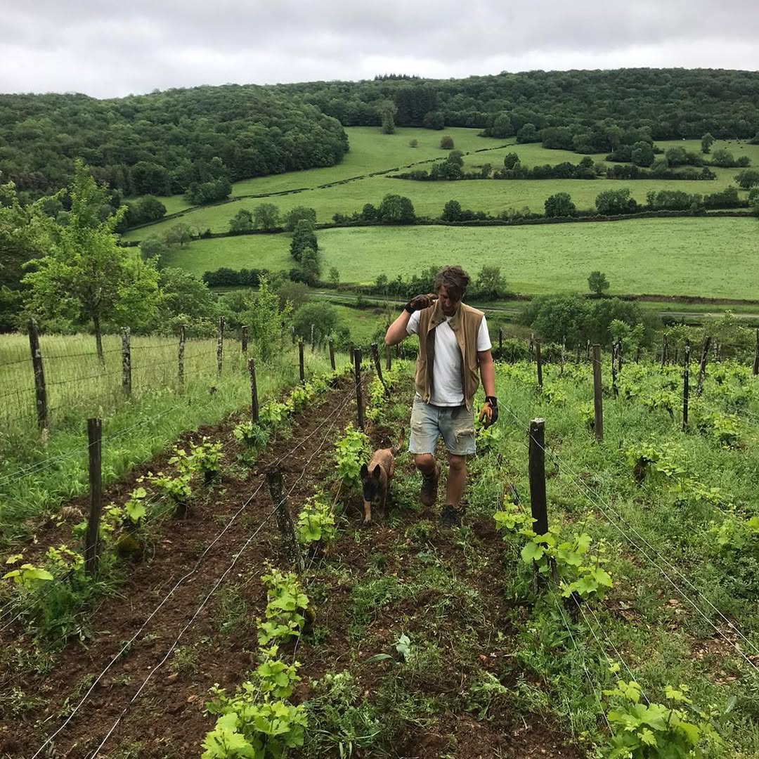 Bastian Wolber in his vineyard in Volnay, Burgundy.