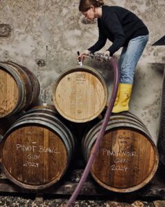 Fenja Hinz with its wine bottles, Pinot Blanc and Pinot Noir.